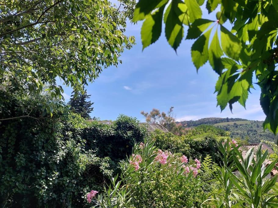 Vue De Rennes-Le-Chateau Куиза Экстерьер фото